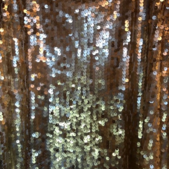 Kirra Sequined Tank w/ Sheer Back - Picture 4 of 6